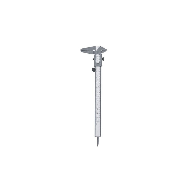 Vernier caliper BTL-5060