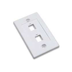 Placa de pared rectangular para 2 conector RJ45